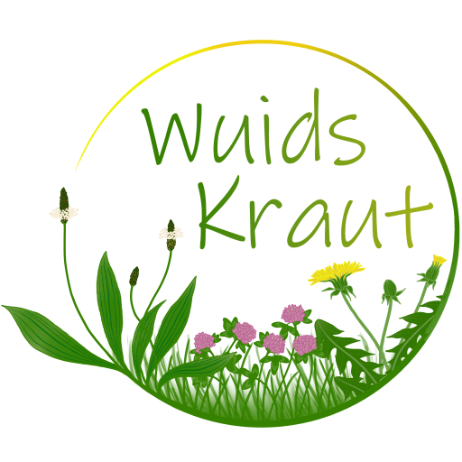 Wuids Kraut